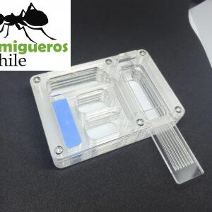 Hormiguero Acrílico Pequeño con caja de Forrajeo