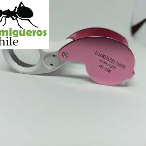 Lupa 40x 25mm con luz Rosada-Blanca